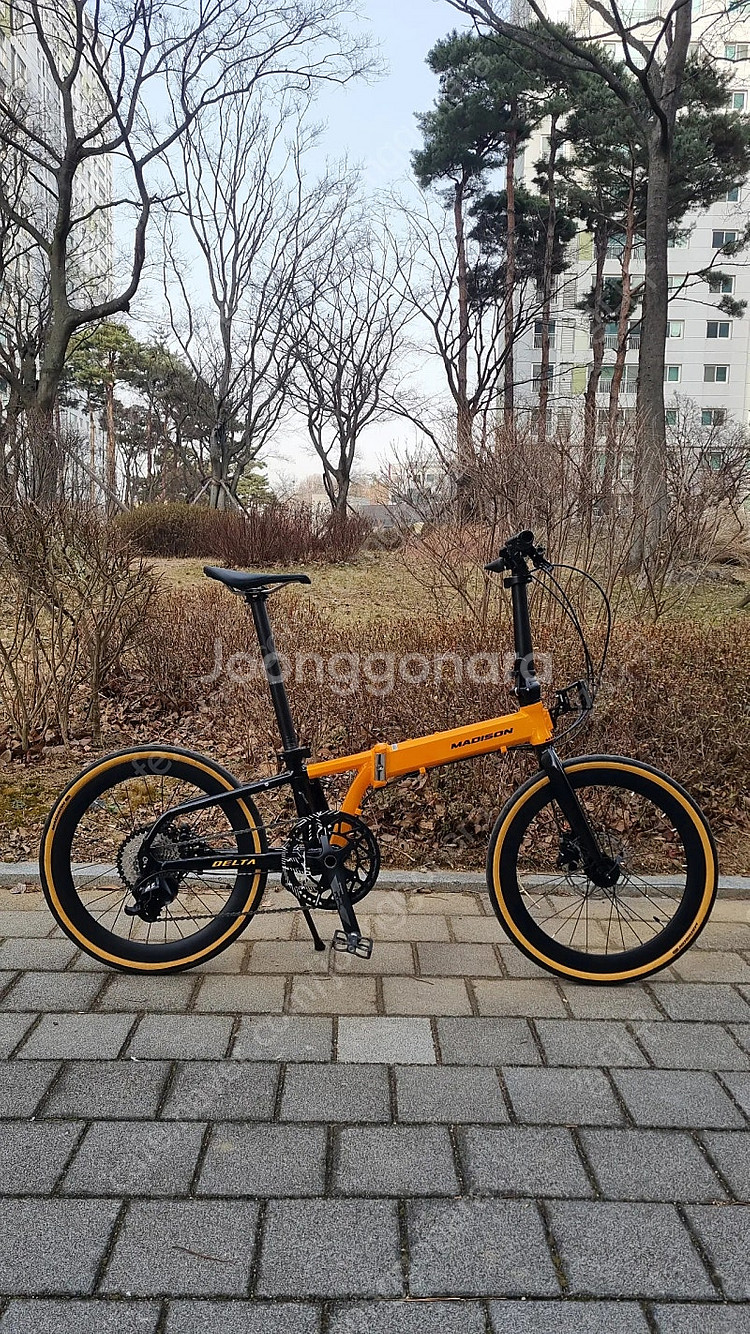 메디슨뉴델타--0