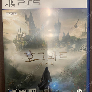 PS5 플스5 호그와트레거시