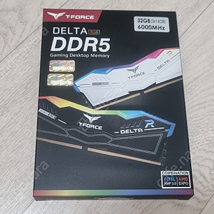 TeamGroup T-Force DDR5-6000 CL38 Delta RGB 패키지 블랙 서린 (32GB(16Gx2)) 팝니다.