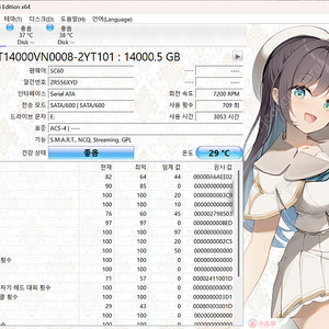 시게이트 아이언울프 NAS HDD 14TB