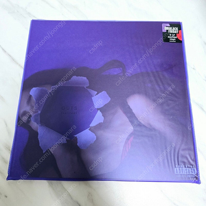 올리비아 로드리고 GUTS spilled LP 한정판 RSD 2024