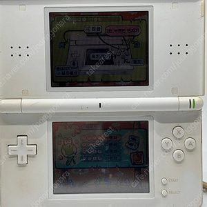 닌텐도 ds lite 화이트