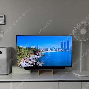 LG 48인치 모델:OLED48C1ENB TV