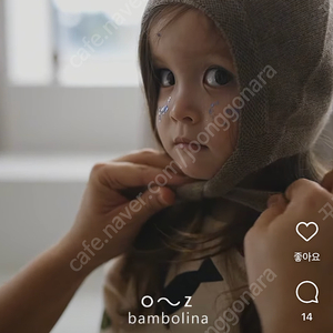 Bambolina fox hat 밤볼리나 보넷 6-12m