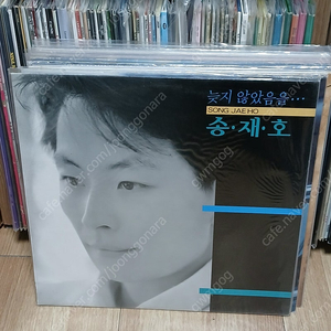 송재호1집 박남정6집 미개봉 lp