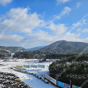 (설연휴특가) 엘리시안강촌/한화평창/모나용평/오크밸리/무주덕유산