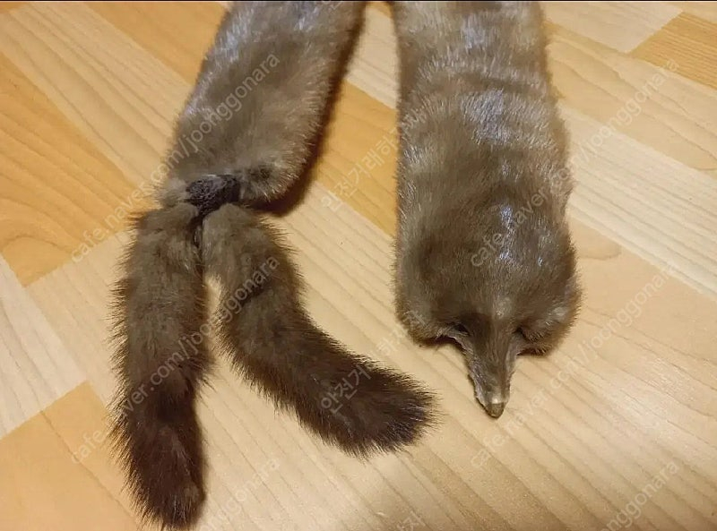 고급 모피 목도리 이미지