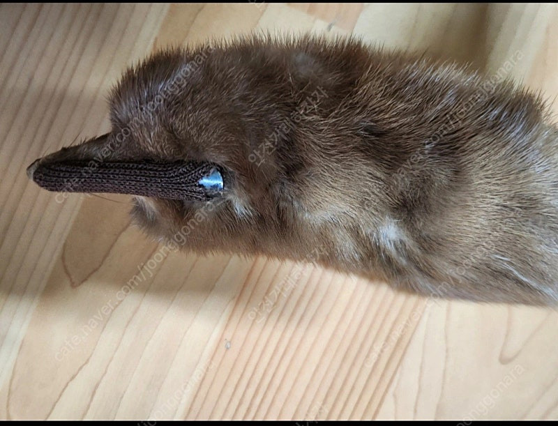 고급 모피 목도리 이미지