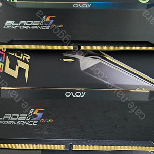 OLOy DDR5-5600 CL36 BLADE RGB Black 패키지 16gb(8gb x 2) 판매 합니다