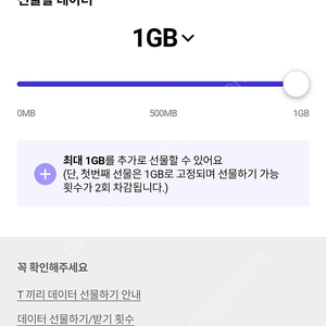 SK데이터 1기가 1500원