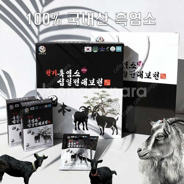<설선물>100% 자연방목 국내산 천기 흑염소 십일전대...--0