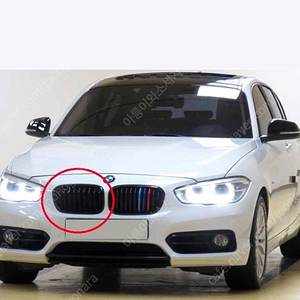 BMW 블랙 키드니 그릴 (조수석) 1개 돼지코