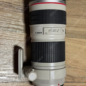 EF70-200mm F4L USM(애기백통) Canon 익스텐더 EF2X III