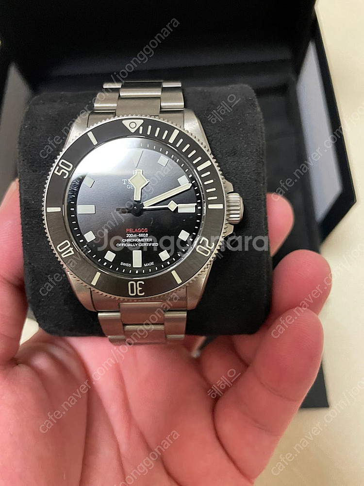 튜더 펠라고스 39 판매합니다--0