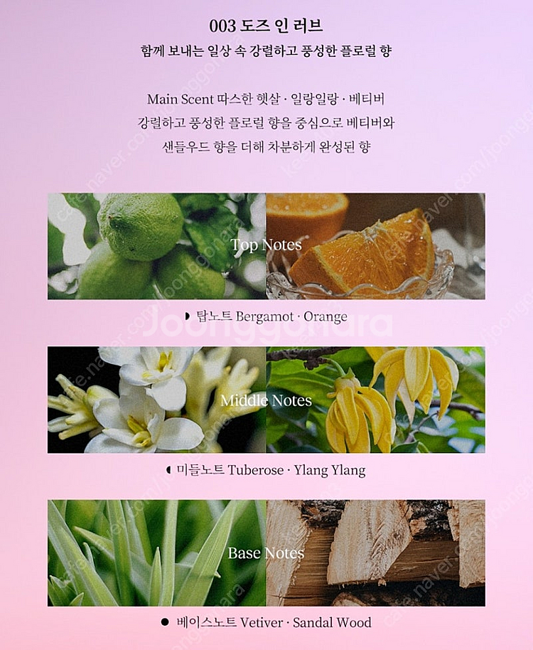 티르티르 포스트에세이 바디 워시 400mL 도즈 인 러...--1