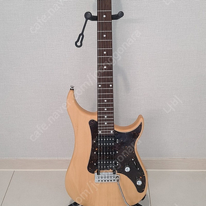 일렉기타 vigier