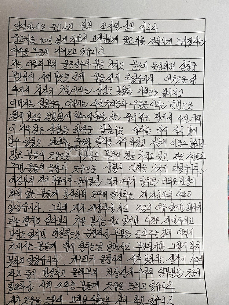 [기타제조사]쎄보(캠시스) CEVO-C SE 2인승 (...--4