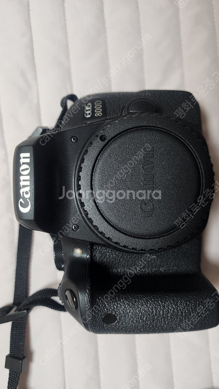 캐논 800D + 시그마 아트 삼식이--3