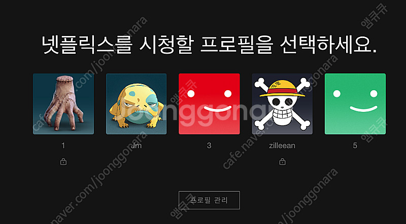 넷플릭스 프리미엄 이용권 오늘 모십니다 (안전추구자만)--0