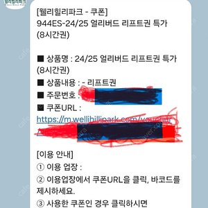 [웰리힐리] 리프트권 8시간