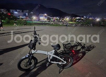 2024 엑스트론 프로 20ah 키로수 200키로미만--0