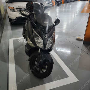 Joy max 300cc abs