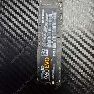 삼성 SSD 960 EVO M.2 250GB