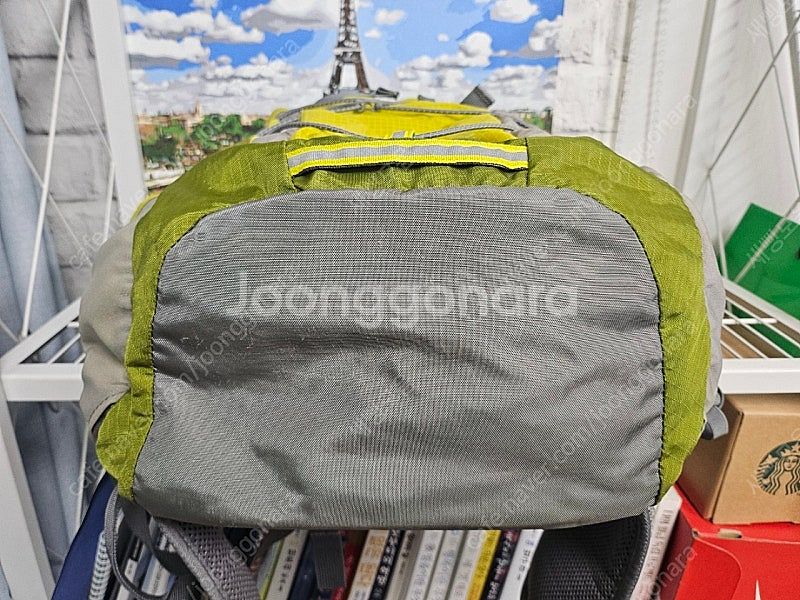 노스페이스 등산배낭 ANGSTROM 30 리터 PA71--6