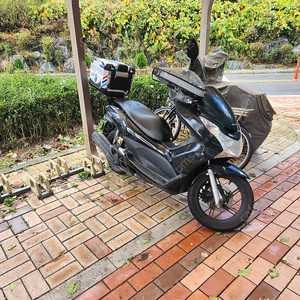 pcx