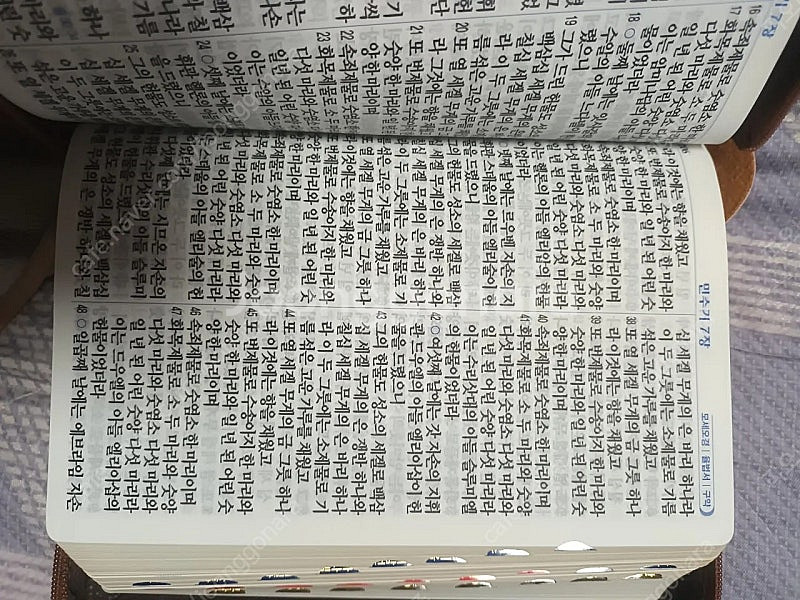 큰글자 성경책 새상품--3