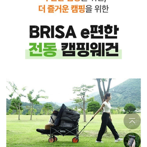 [새제품] 브리사 전동 웨건(상판, 그물망 포함)