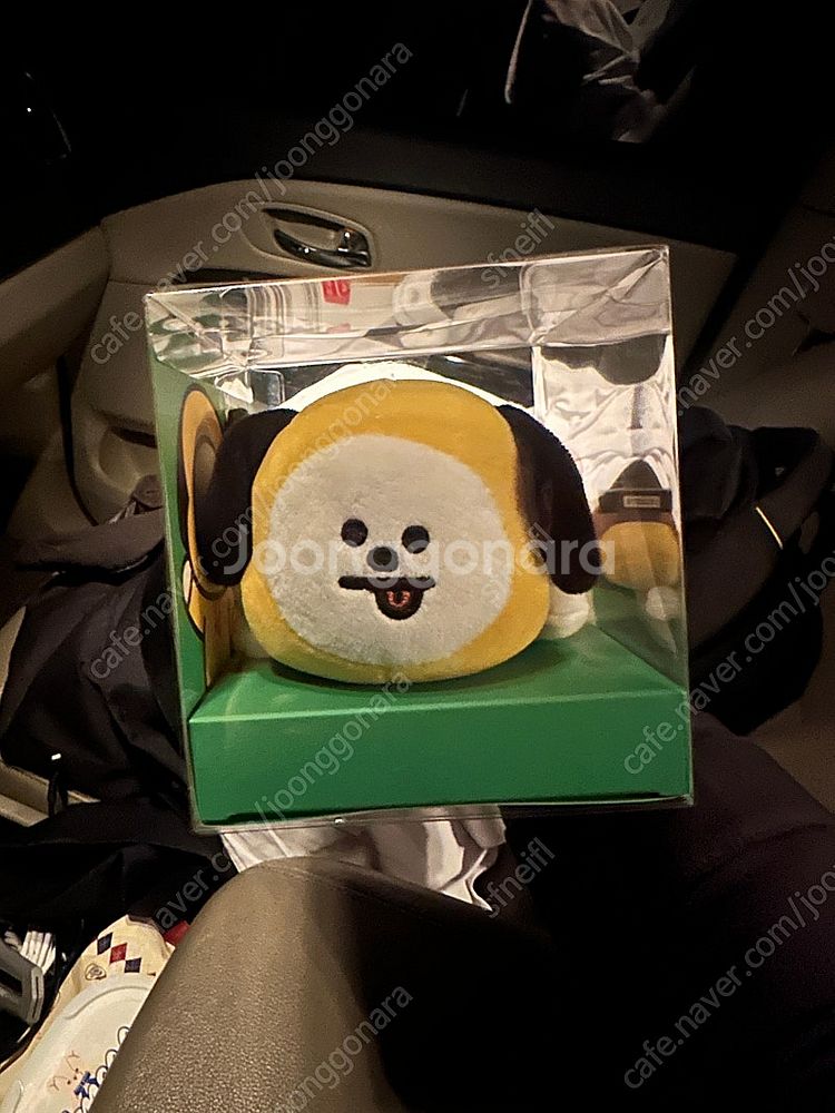 bt21--0