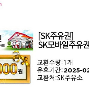 Sk 주유권 상품권 4만원