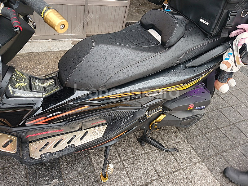24년식 포르자 350 풀튜닝 [서울]--9