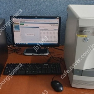 Applied BioSystems 7500 Real-Time PCR System