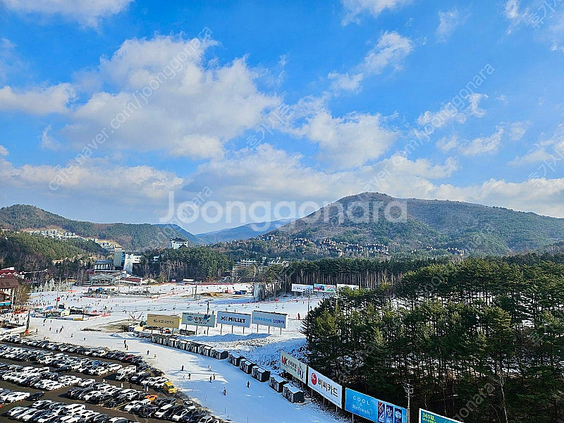 특가 > 평창한화/엘리시안강촌/모나용평/오크밸리/무주리...--0