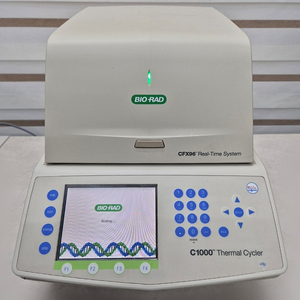 BIO RAD CFX96 Real Time System 리얼 타임 PCR