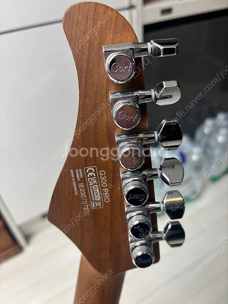 일렉기타 콜트 g300 pro 팔아요--2