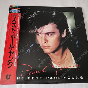 폴영 Paul Young 레이저디스크 (LD)