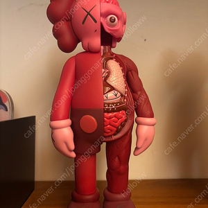 Kaws flayed blush 카우스