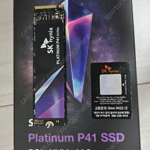 SK하이닉스 P41 1TB