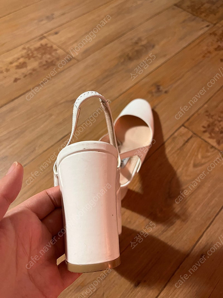 식스앤어하프 라운드토/젤리샵/프라다 이미지