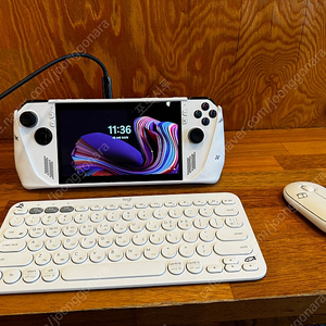 rog ally 로갈리 백갈리 2TB 정발 팔아요