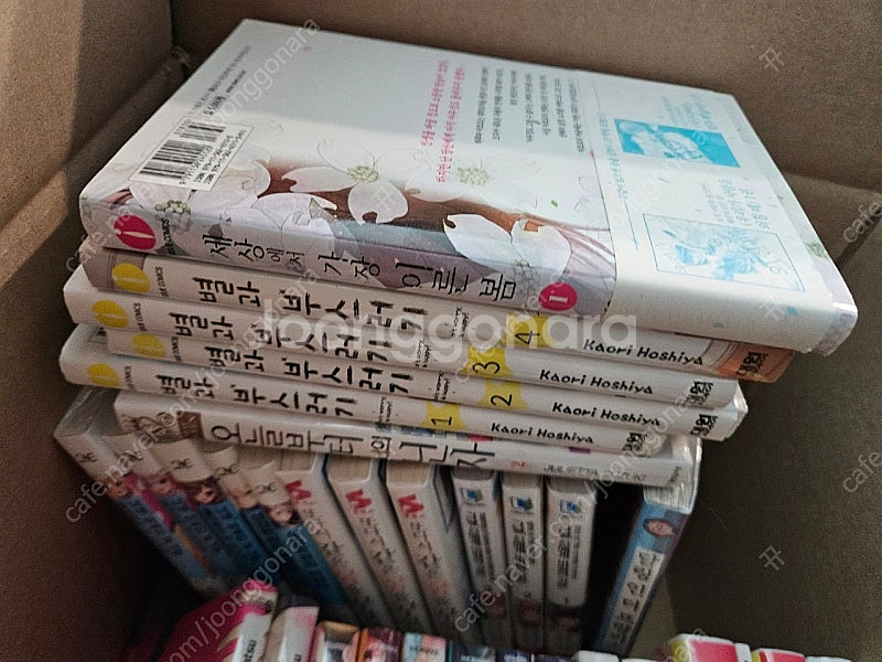 초판 미개봉 라이트노벨 라노벨 만화책 팔아요--0