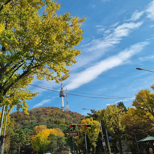 맥도날드 불고기버거세트 3장 일괄판매