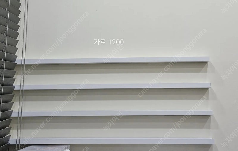 진열대 4개