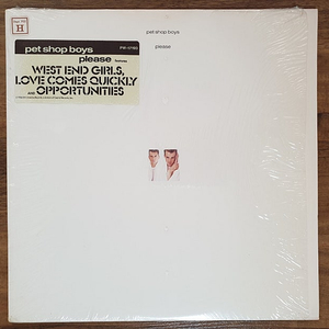 팝 lp, Pet Shop Boys