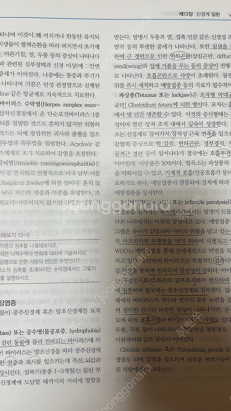 성인간호학, 여성간호학, 기본간호학, 생명윤리, 간호과--5