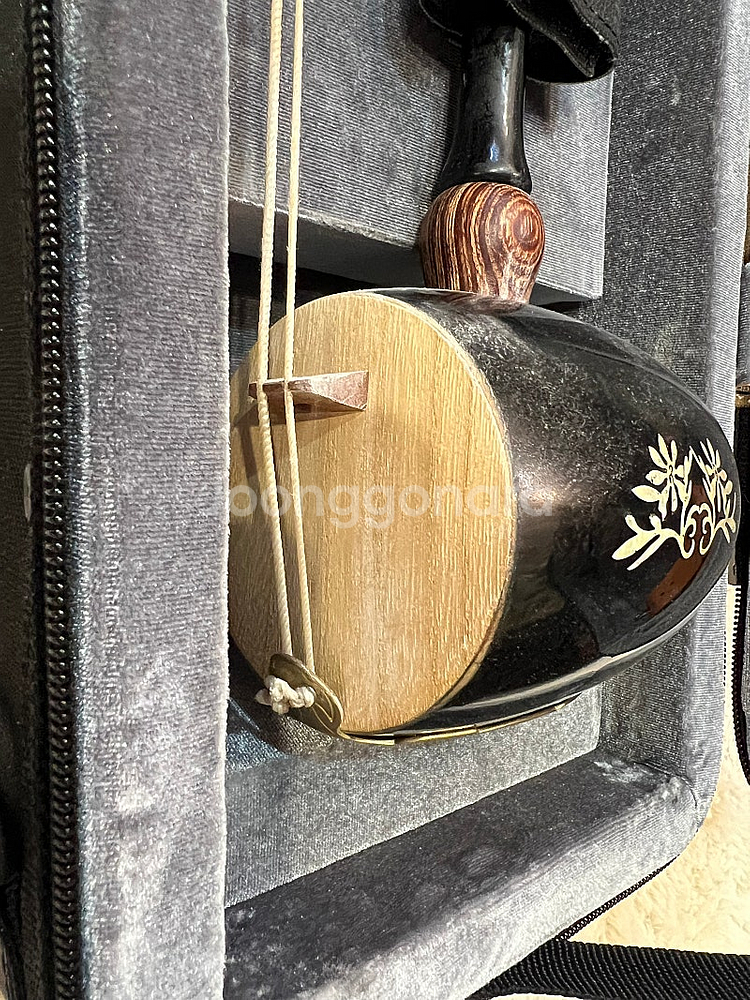 [부천] 해금 + 하드케이스 + 말총교체--6