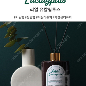 플렌느 퍼퓸 디퓨저 400ml 리얼유칼립투스 x 6개